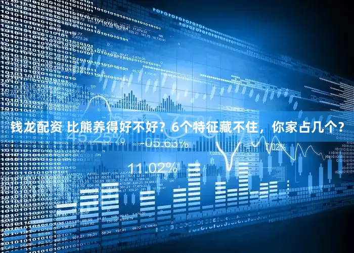 钱龙配资 比熊养得好不好？6个特征藏不住，你家占几个？