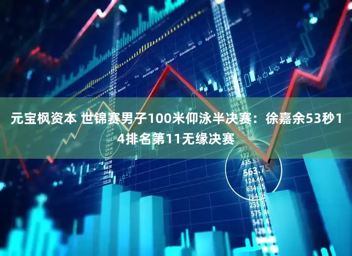元宝枫资本 世锦赛男子100米仰泳半决赛：徐嘉余53秒14排名第11无缘决赛
