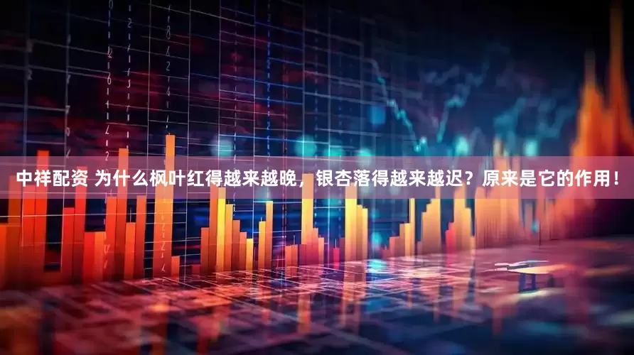 中祥配资 为什么枫叶红得越来越晚，银杏落得越来越迟？原来是它的作用！