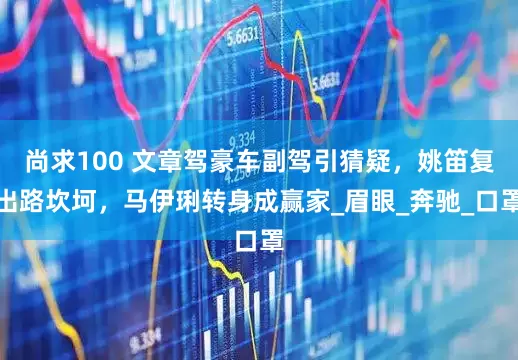 尚求100 文章驾豪车副驾引猜疑，姚笛复出路坎坷，马伊琍转身成赢家_眉眼_奔驰_口罩