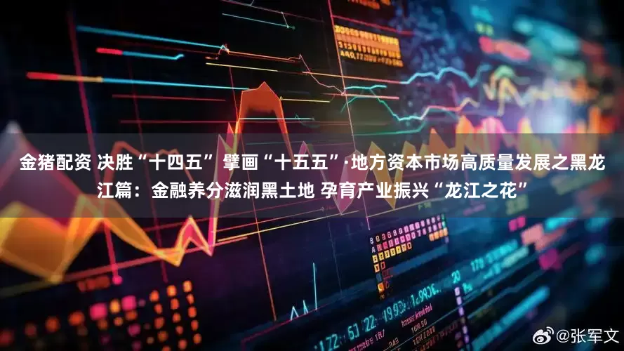 金猪配资 决胜“十四五” 擘画“十五五”·地方资本市场高质量发展之黑龙江篇：金融养分滋润黑土地 孕育产业振兴“龙江之花”