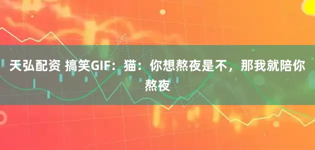 天弘配资 搞笑GIF：猫：你想熬夜是不，那我就陪你熬夜