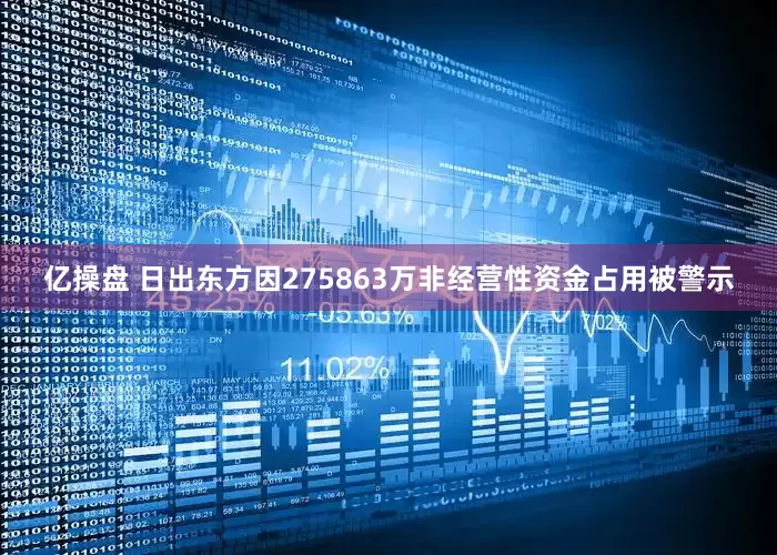 亿操盘 日出东方因275863万非经营性资金占用被警示