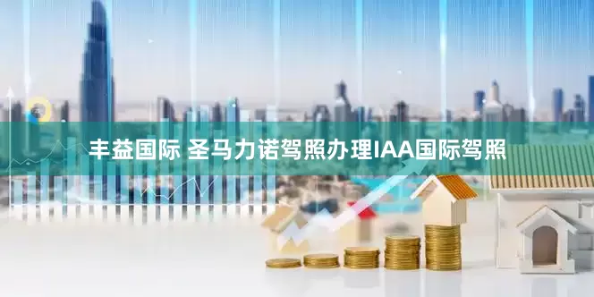 丰益国际 圣马力诺驾照办理IAA国际驾照