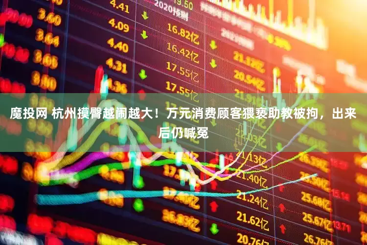 魔投网 杭州摸臀越闹越大!万元消费顾客猥亵助教被拘,出来后仍喊冤